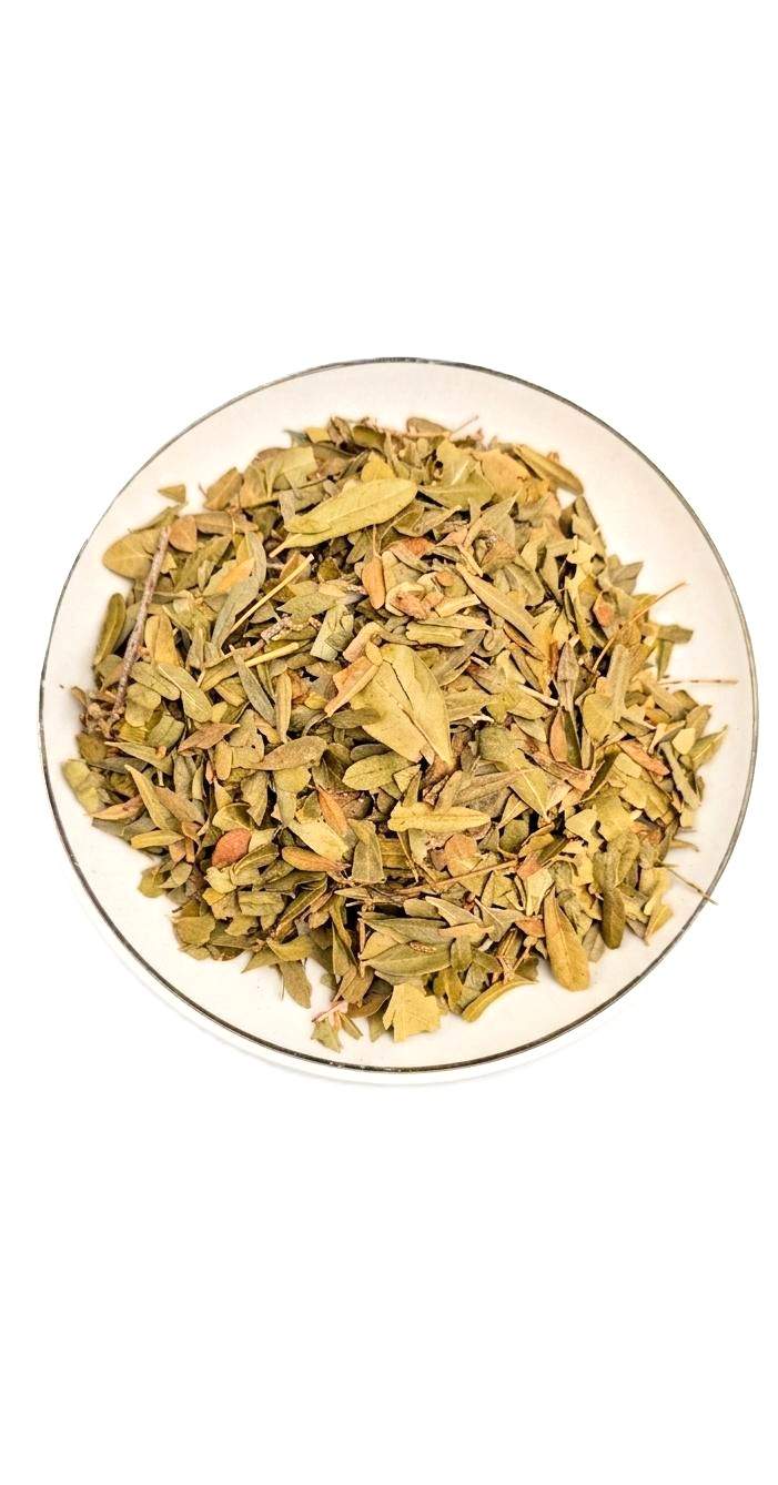 Aguaribay o molle