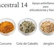 Ancestral N° 14 - INFLAMACION DE ARTICULACIONES (Curcuma, Jengibre, Cola de Caballo)