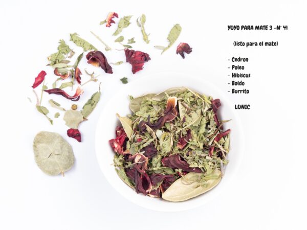 Blend Nº 41 - Yuyos para mate 3 (cedron, poleo, hibiscus, boldo y burrito)