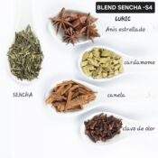 Blend linea importada - S4 - Te SENCHA, canela, cardamomo, clavo, anis estrellado (ESPECIADO ESTILO CHAI)
