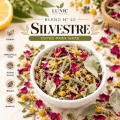 BLEND N° 40 - SILVESTRE - (CEDRÓN, MANZANILLA FLOR, PÉTALOS DE ROSAS, BOLDO Y BURRITO)