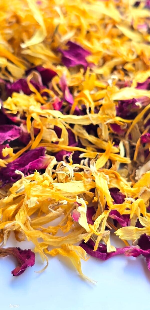 Flores secas mixtas premium - CD 7 (Rosa y calendula) - Image 3