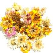 Oropel flor pura deshidratada