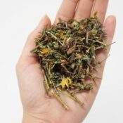 Hierba de san juan (Hiperico- Hypericum)