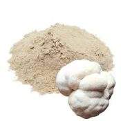 Hongo melena de leon en polvo (Hericium erinaceus)