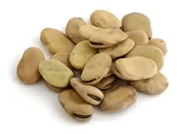 Habas x 1 Kg