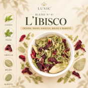 BLEND N° 41 - L’IBISCO - (CEDRÓN, POLEO, HIBISCUS, BOLDO Y BURRITO)