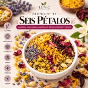 BLEND N° 35 - SEIS PÉTALOS - (LAVANDA, MANZANILLA, CALÉNDULA, ROSAS, HIBISCUS Y JAZMÍN)