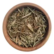 Olivo hojas