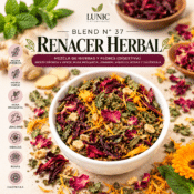 BLEND N° 37 - RENACER HERBAL - (MENTA PIPERITA, MENTA VERDE, ROSA MOSQUETA, JENGIBRE, HIBISCUS, ROSAS Y CALÉNDULA)