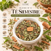 BLEND Nº 6 – TÉ SILVESTRE (Té Verde, Peperina, Cedrón y Canela)