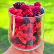 BLEND FRUTOS ROJOS (Frutilla, Arandanos, Mora, Frambuesa) x 250 gr