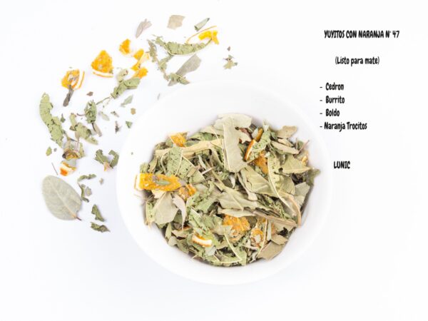 Blend Nº 47 - Yuyitos con naranja (cedron, burrito, boldo, naranja)