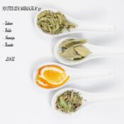 Blend Nº 47 - Yuyitos con naranja (cedron, burrito, boldo, naranja)