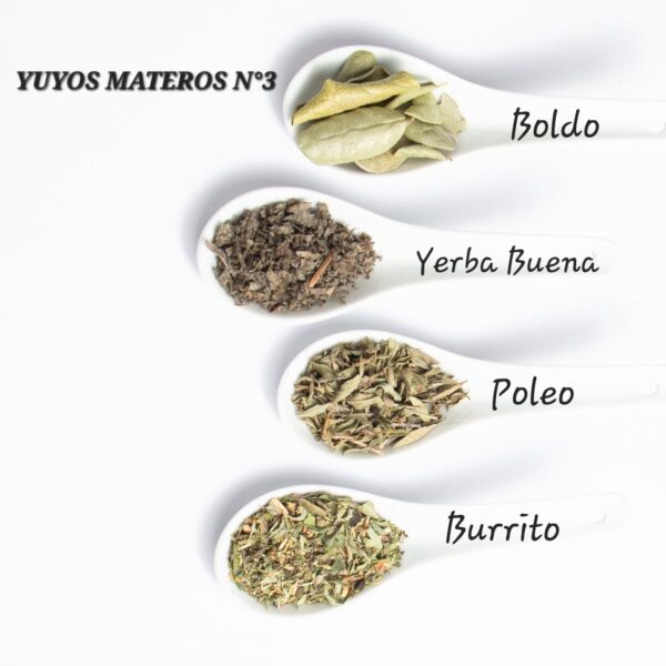 Yuyos materos - Nº 3 (yerba buena, poleo, boldo, burrito)