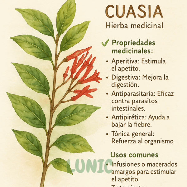 Cuasia - Palo Amargo Hierba - Image 2